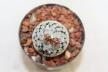 Turbinicarpus valdezianus albiflorus  (4)