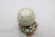 Epithelantha micromeris 20 Years + small Epithelantha (8)