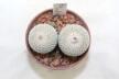 Epithelantha rufispina x2  (3)