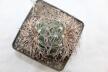 Gymnocalycium spegazzinii LF 45 EL Obelisco 