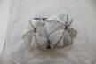 Astrophytum onzuka Dichotoma 40 Years GIANT (7)