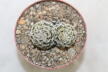 Mammillaria hernandezii Two Heads (4)