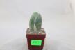 Trichocereus Penis Plant (2)