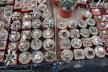 2026 - NEW Special Offer - Plants available for sale/To choose from (25)