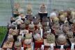 2026 - NEW Special Offer - Plants available for sale/To choose from (61)