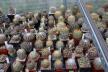 2026 - NEW Special Offer - Plants available for sale/To choose from (68)